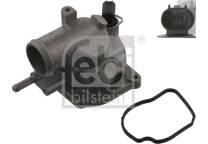 Thermostat, coolant