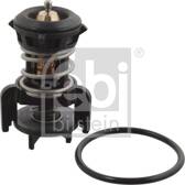 Thermostat, Kühlmittel FEBI BILSTEIN - 106524