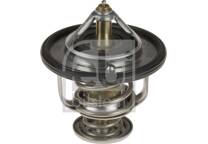 Thermostat, Kühlmittel