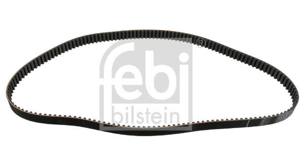 Timing Belt