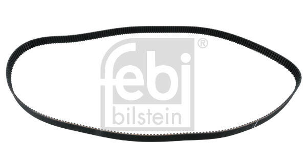Timing Belt