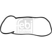 Türdichtung FEBI BILSTEIN - 08875
