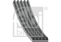 V Ribbed Drive Belts