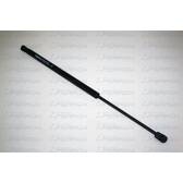 Ammortizatore pneumatico, Cofano bagagli /vano carico FERRON - 1109