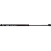 Boot struts FERRON - 275