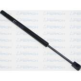 Gas Spring, bonnet FERRON - 2014