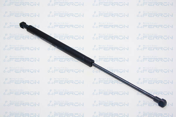 Bonnet gas struts