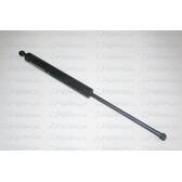 Gas Spring, boot/cargo area FERRON - 349