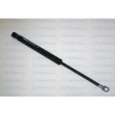 Gas Spring, boot/cargo area FERRON - 79