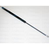 Gas Spring, boot/cargo area FERRON - 81