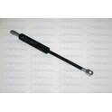 Gas Spring, boot/cargo area FERRON - 89