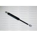 Gas Spring, boot/cargo area FERRON - 94