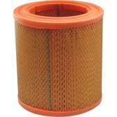 Air Filter FILTRON - AR 253