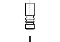 Soupape d'échappement (x4)