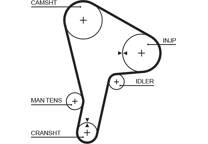 Cinghia distribuzione