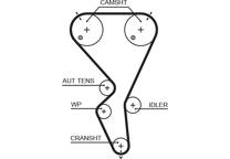 Cinghia distribuzione