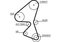 Cinghia distribuzione
