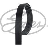 Cinghia Poly-V GATES - 5PK1425