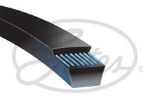 Cinghia Poly-V
