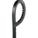 Cinghia Poly-V GATES - AVX13X888HD