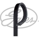 Correa trapecial poli V GATES - 3PK576SF