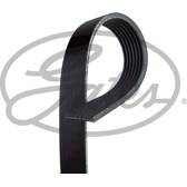 Correia trapezoidal estriada GATES - 7PK1179SF
