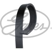 Courroie d'accessoire GATES - 6PK1073EST