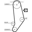 Courroie de distribution GATES - 5053