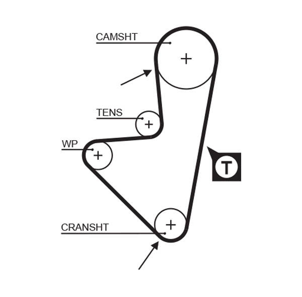 Timing Belt
