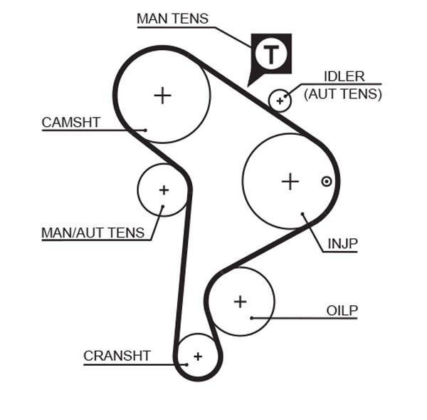 Timing Belt