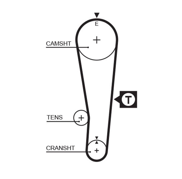 Timing Belt