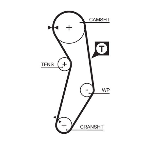 Timing Belt