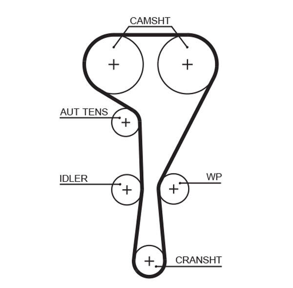Timing Belt