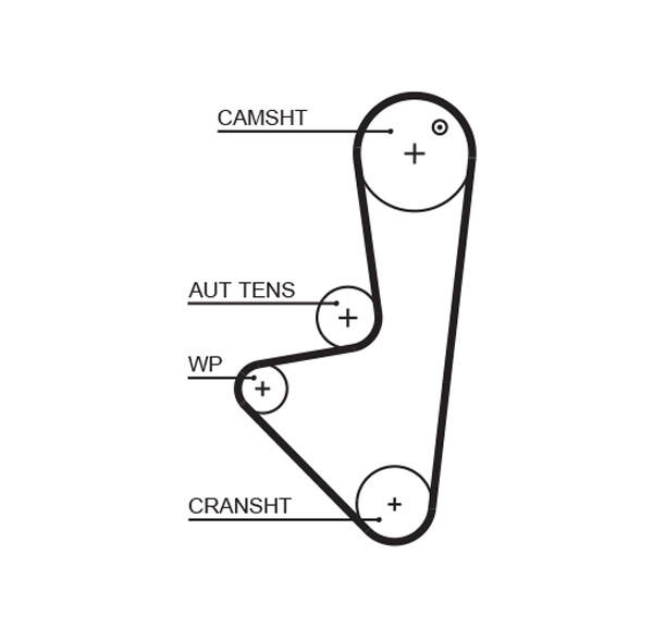 Timing Belt