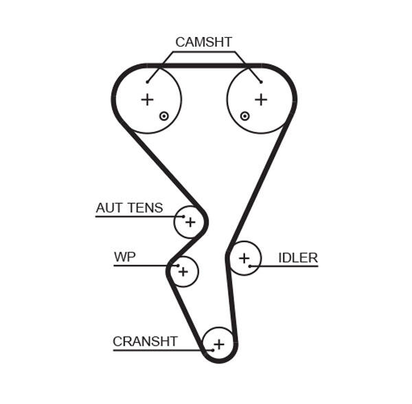 Timing Belt
