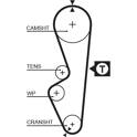 Distributieriem GATES - 5070