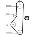 Distributieriem GATES - 5076