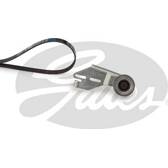 Kit Cinghie Poly-V GATES - K015PK778
