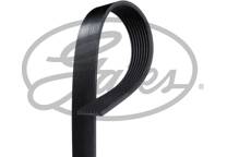 Poly V-riem
