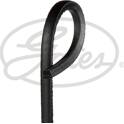 Poly V-riem GATES - AV13X763HD