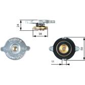 Radiatordop GATES - RC120