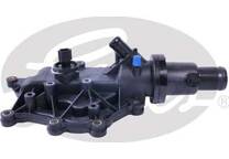 Thermostat, coolant