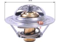 Thermostat d'eau