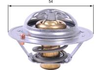 Thermostat d'eau