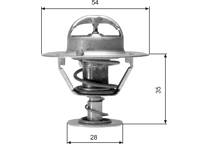 Thermostat, Kühlmittel