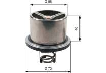Thermostat, Kühlmittel