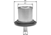 Thermostat, Kühlmittel