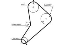 Timing Belt