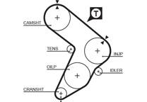 Timing Belt