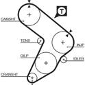 Timing Belt GATES - 5032